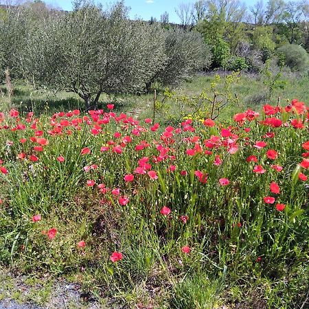 Appartement De Ville Medievale Vinca Dış mekan fotoğraf