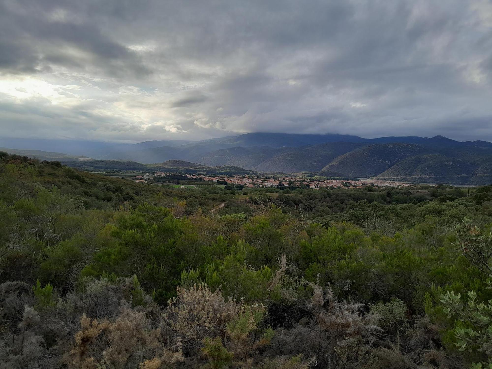 Appartement De Ville Medievale Vinca Dış mekan fotoğraf